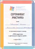Сертификат участника вводного семинара "ТРИЗ-педагогика в деятельности педагога ДОО"